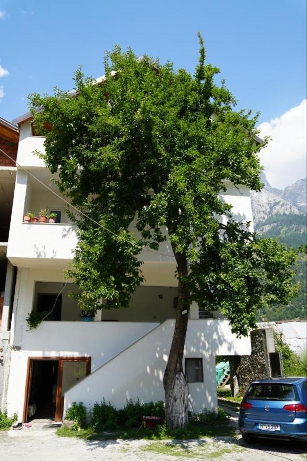 Guesthouse Skender Selimaj Валбона Экстерьер фото